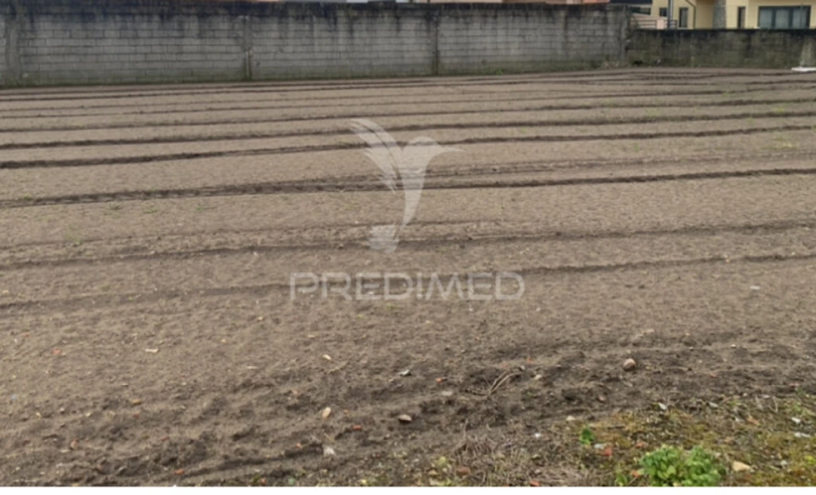 Terreno para Venda em Estela Foto 1