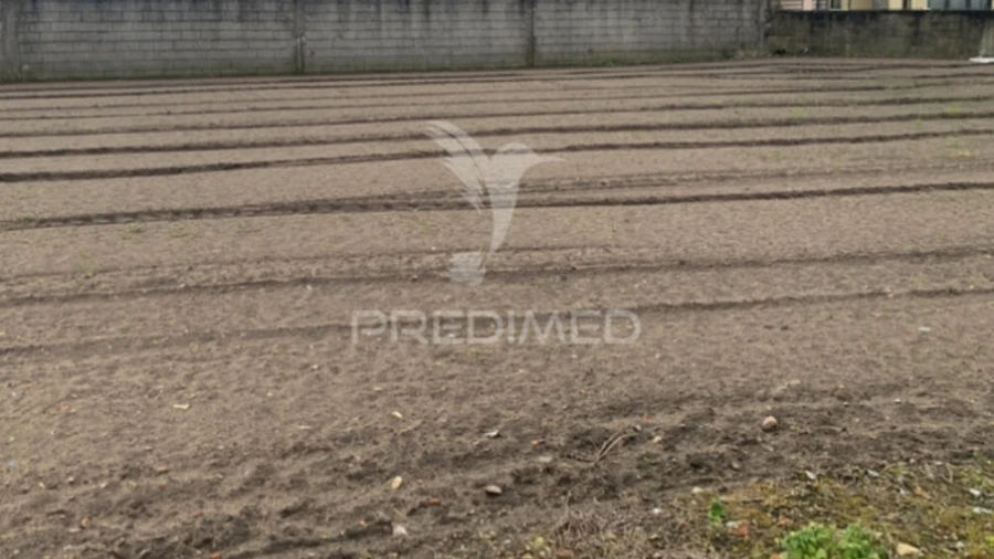 Terreno para Venda em Estela