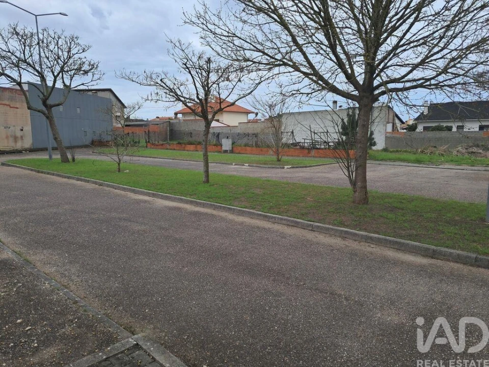 Terreno para Venda em Vieira de Leiria Foto 12