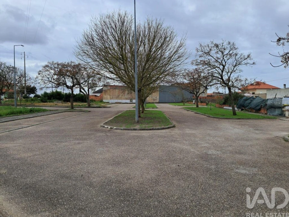 Terreno para Venda em Vieira de Leiria Foto 14
