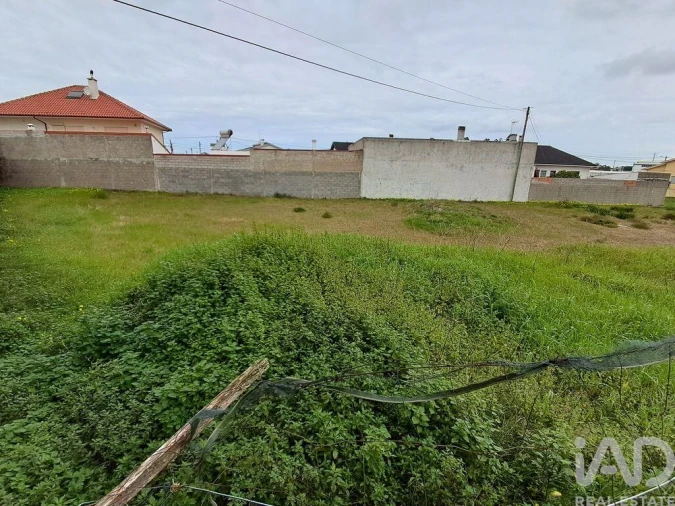 Terreno para Venda em Vieira de Leiria Foto 10