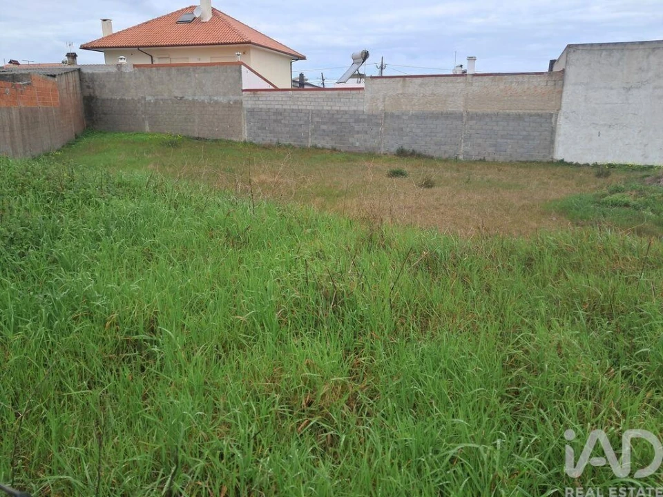 Terreno para Venda em Vieira de Leiria Foto 11