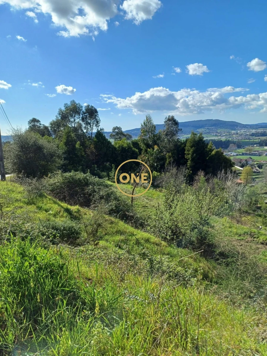 Terreno para Venda em Lemenhe, Mouquim e Jesufrei Foto 5