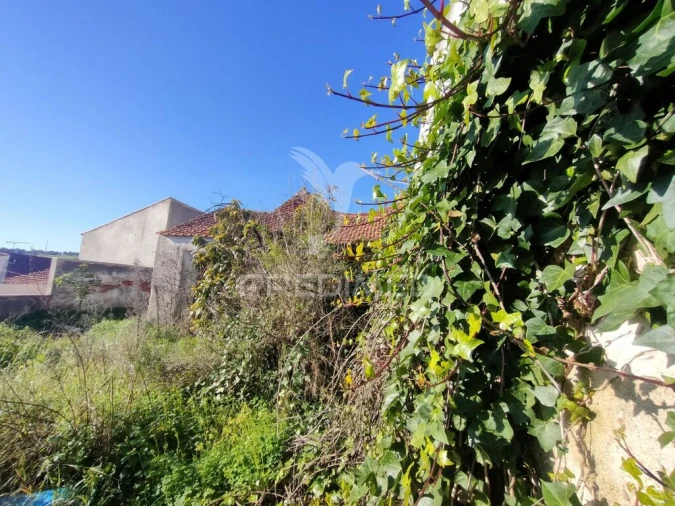 Armazém para Venda em Monsanto Foto 11