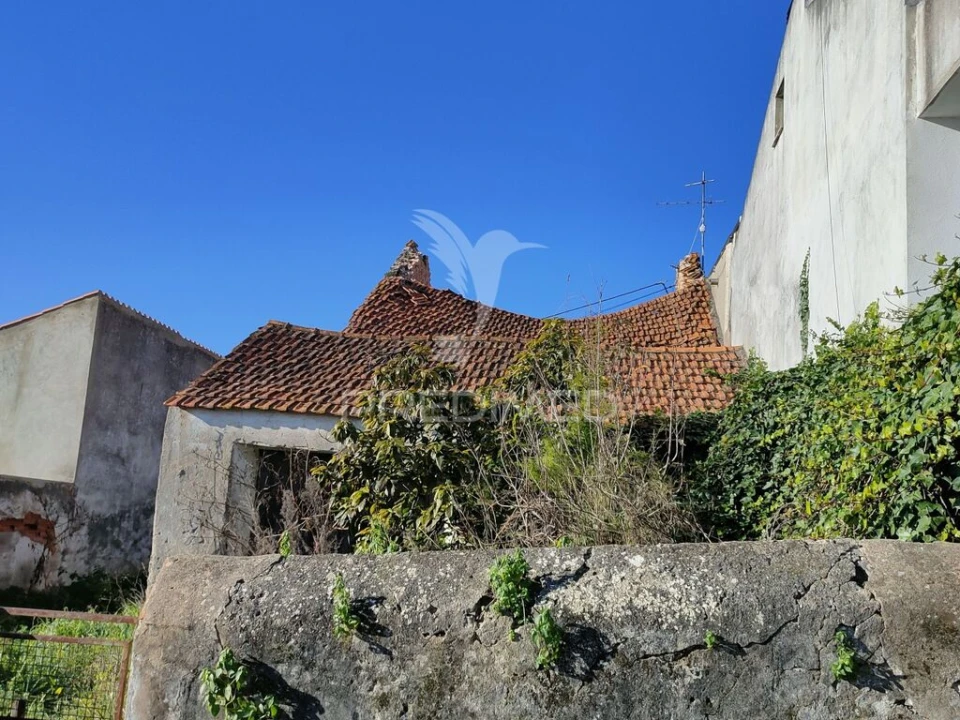 Armazém para Venda em Monsanto Foto 8