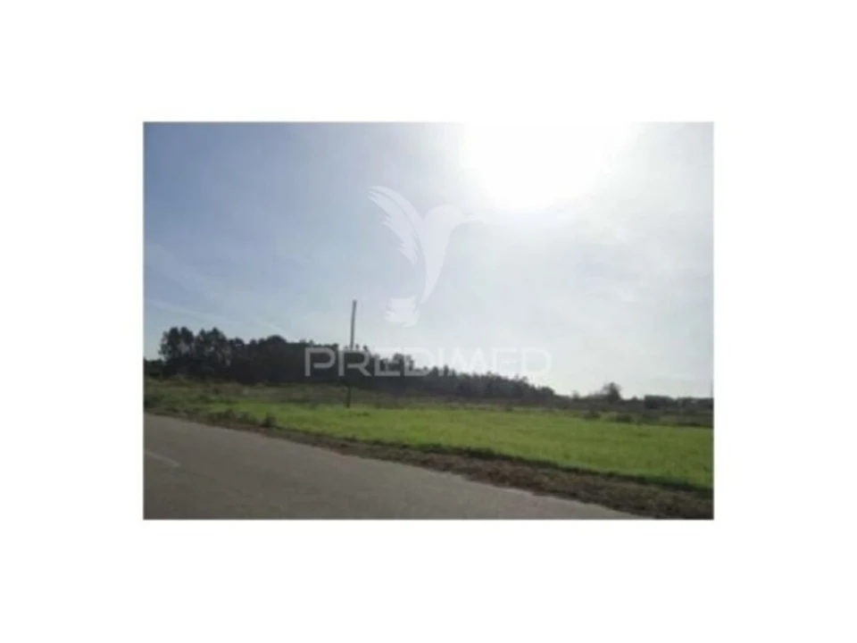 Terreno para Venda em Ponte de Vagos e Santa Catarina Foto 4