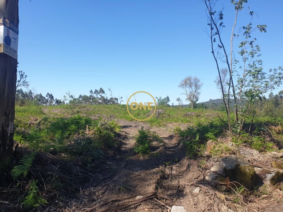 Terreno para Venda em Silveiros e Rio Covo (Santa Eulália) Foto 4