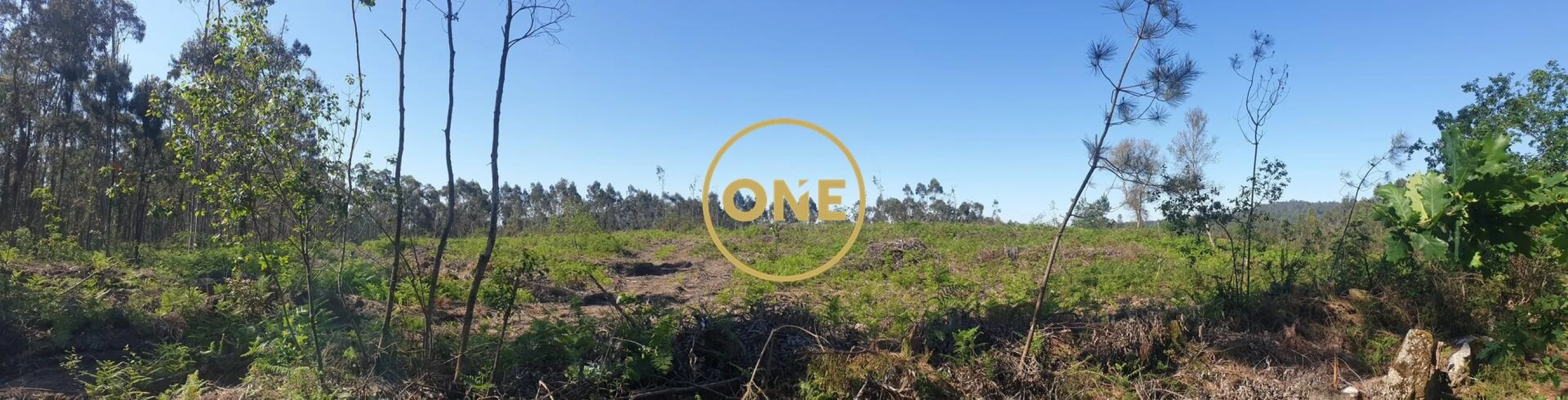 Terreno para Venda em Silveiros e Rio Covo (Santa Eulália) Foto 1
