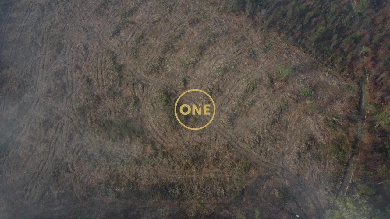 Terreno para Venda em Silveiros e Rio Covo (Santa Eulália) Foto 5