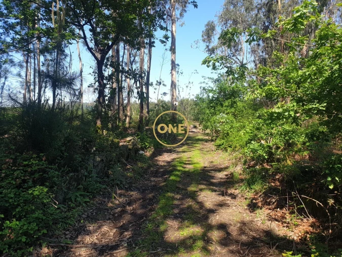 Terreno para Venda em Silveiros e Rio Covo (Santa Eulália) Foto 3