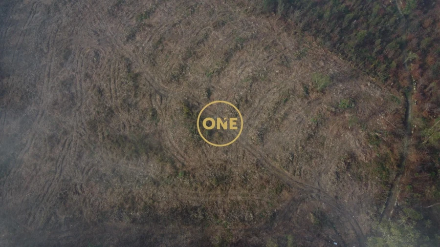 Terreno para Venda em Silveiros e Rio Covo (Santa Eulália) Foto 5