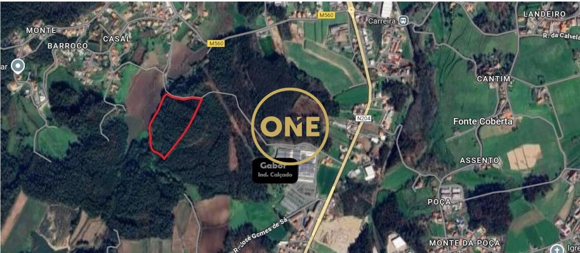 Terreno para Venda em Silveiros e Rio Covo (Santa Eulália) Foto 2