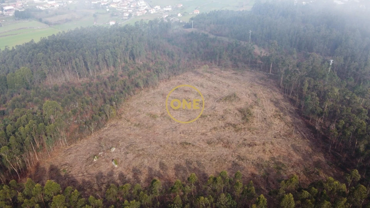 Terreno para Venda em Silveiros e Rio Covo (Santa Eulália) Foto 6