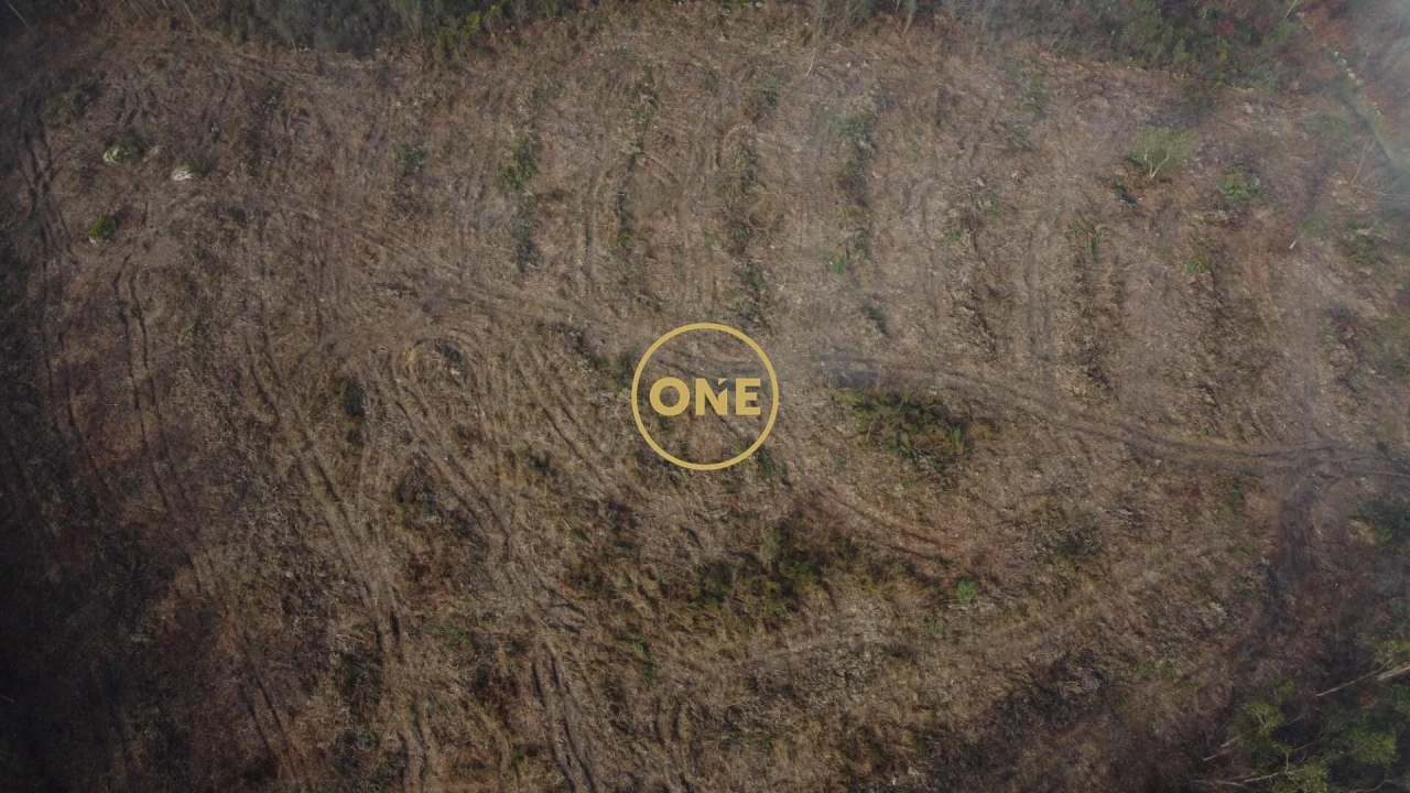 Terreno para Venda em Silveiros e Rio Covo (Santa Eulália) Foto 7