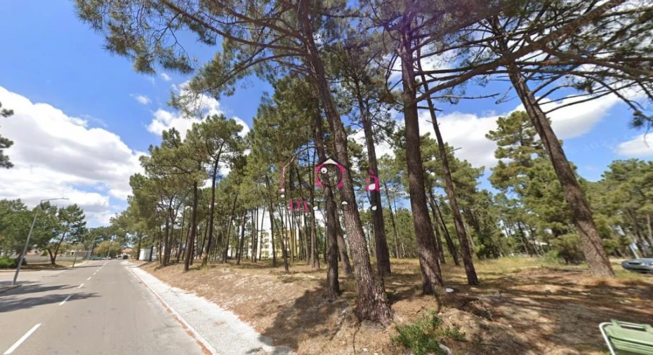 Terreno para Venda em Azeitão (São Lourenço e São Simão) Foto 1