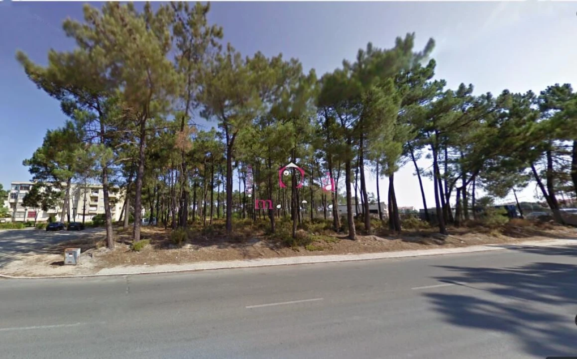 Terreno para Venda em Azeitão (São Lourenço e São Simão) Foto 2