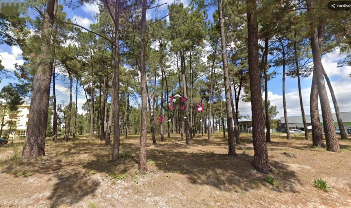 Terreno para Venda em Azeitão (São Lourenço e São Simão) Foto 3