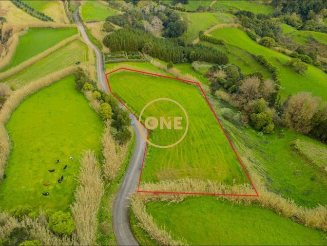 Terreno para Venda em Porto Formoso Foto 5