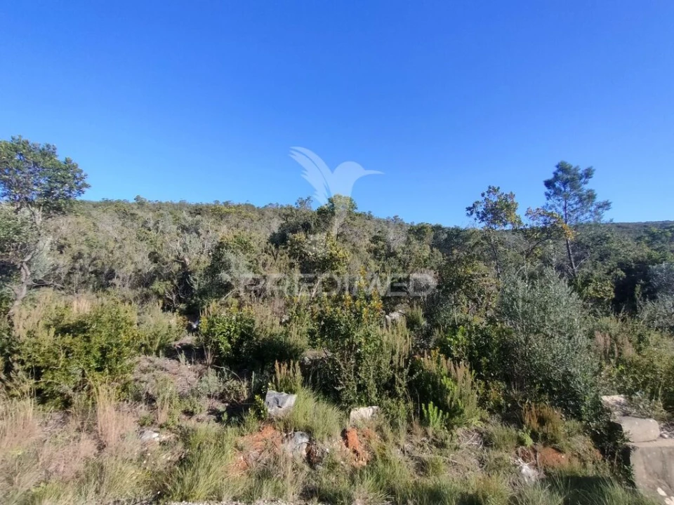 Terreno para Venda em Malhou, Louriceira e Espinheiro Foto 5