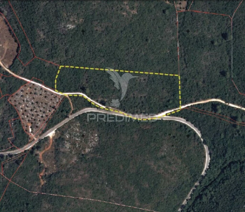 Terreno para Venda em Malhou, Louriceira e Espinheiro Foto 14