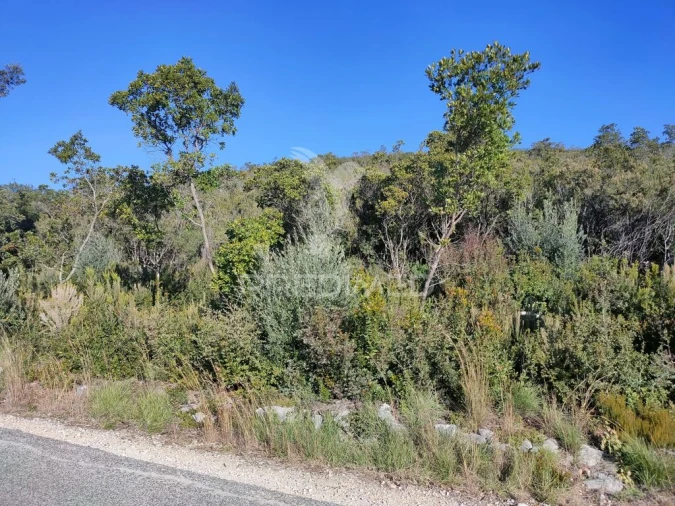 Terreno para Venda em Malhou, Louriceira e Espinheiro Foto 2