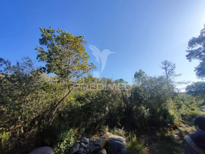 Terreno para Venda em Malhou, Louriceira e Espinheiro Foto 9