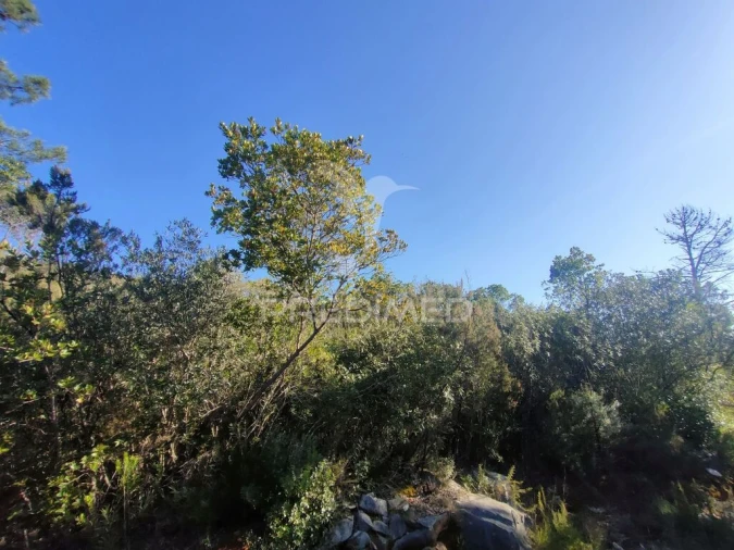 Terreno para Venda em Malhou, Louriceira e Espinheiro Foto 10