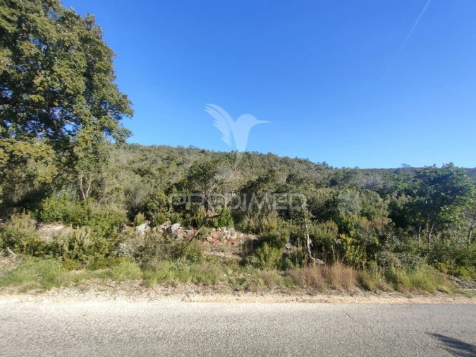 Terreno para Venda em Malhou, Louriceira e Espinheiro Foto 12