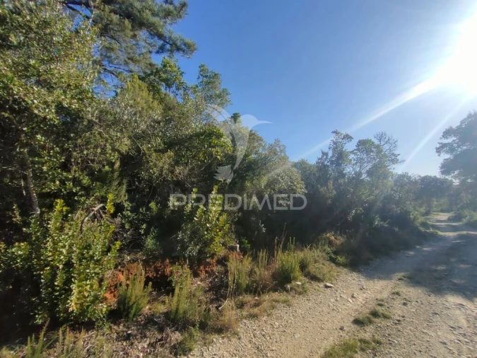Terreno para Venda em Malhou, Louriceira e Espinheiro Foto 8