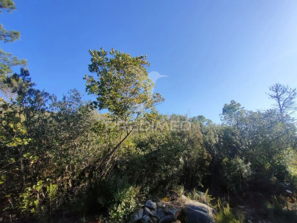 Terreno para Venda em Malhou, Louriceira e Espinheiro Foto 10