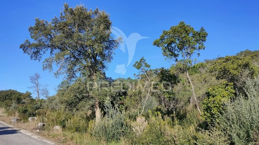 Terreno para Venda em Malhou, Louriceira e Espinheiro