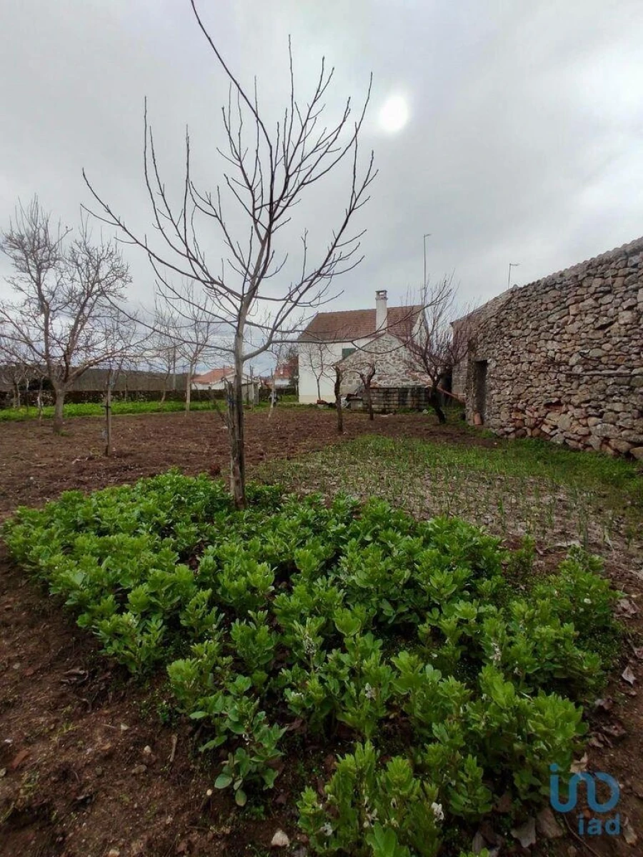 Moradia T5 para Venda em Ruvina, Ruivós e Vale das Éguas Foto 4