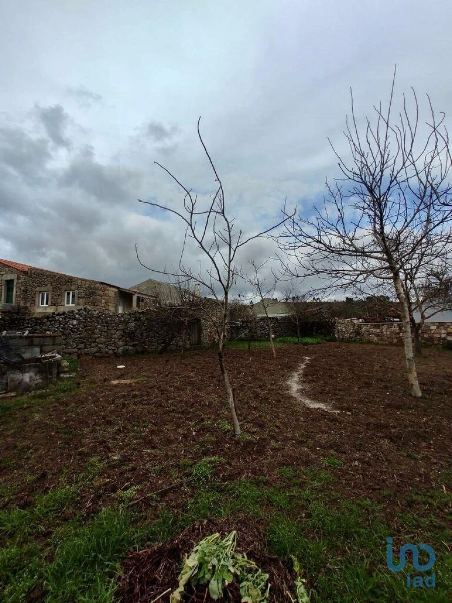 Moradia T5 para Venda em Ruvina, Ruivós e Vale das Éguas Foto 5