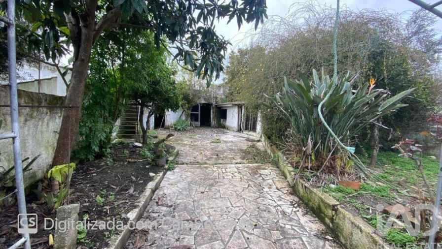 Moradia T4 para Venda em Galveias Foto 17