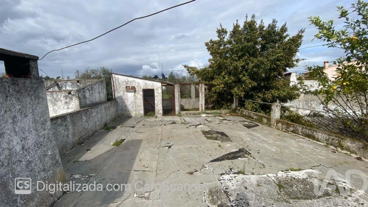 Moradia T4 para Venda em Galveias Foto 22