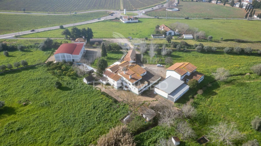 Quinta T9 para Venda em São Bento do Cortiço e Santo Estêvão Foto 3