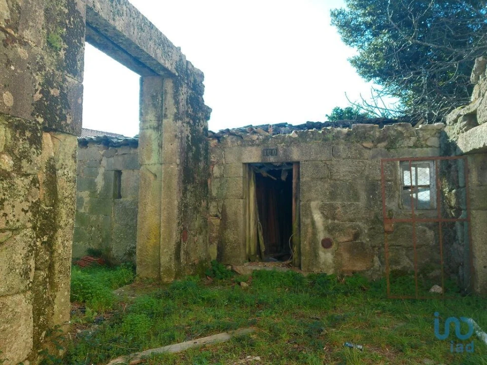Moradia para Venda em Seixo da Beira Foto 3