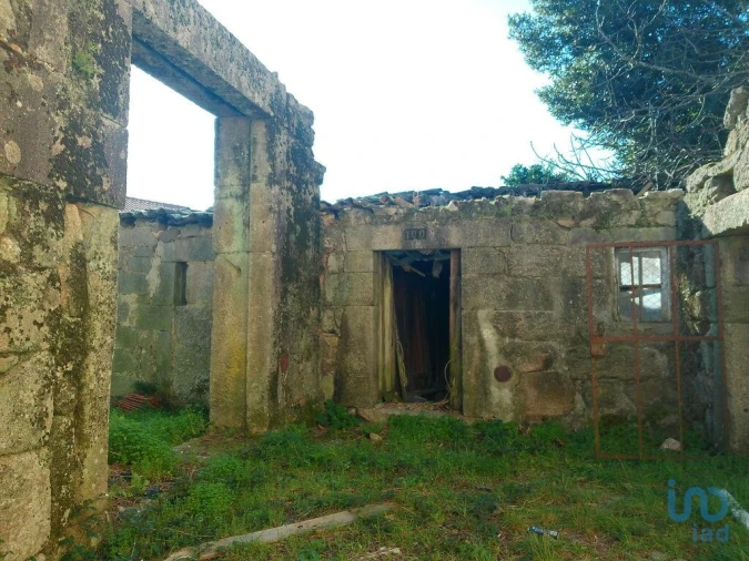 Moradia para Venda em Seixo da Beira Foto 3