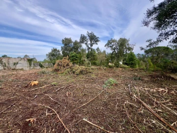 Terreno para Venda em Eiras e São Paulo de Frades