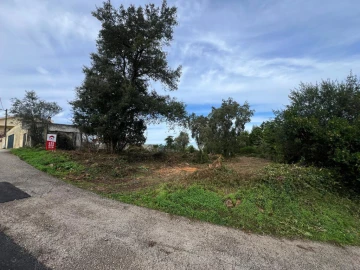 Terreno para Venda em Eiras e São Paulo de Frades