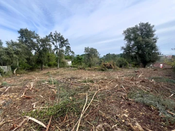 Terreno para Venda em Eiras e São Paulo de Frades
