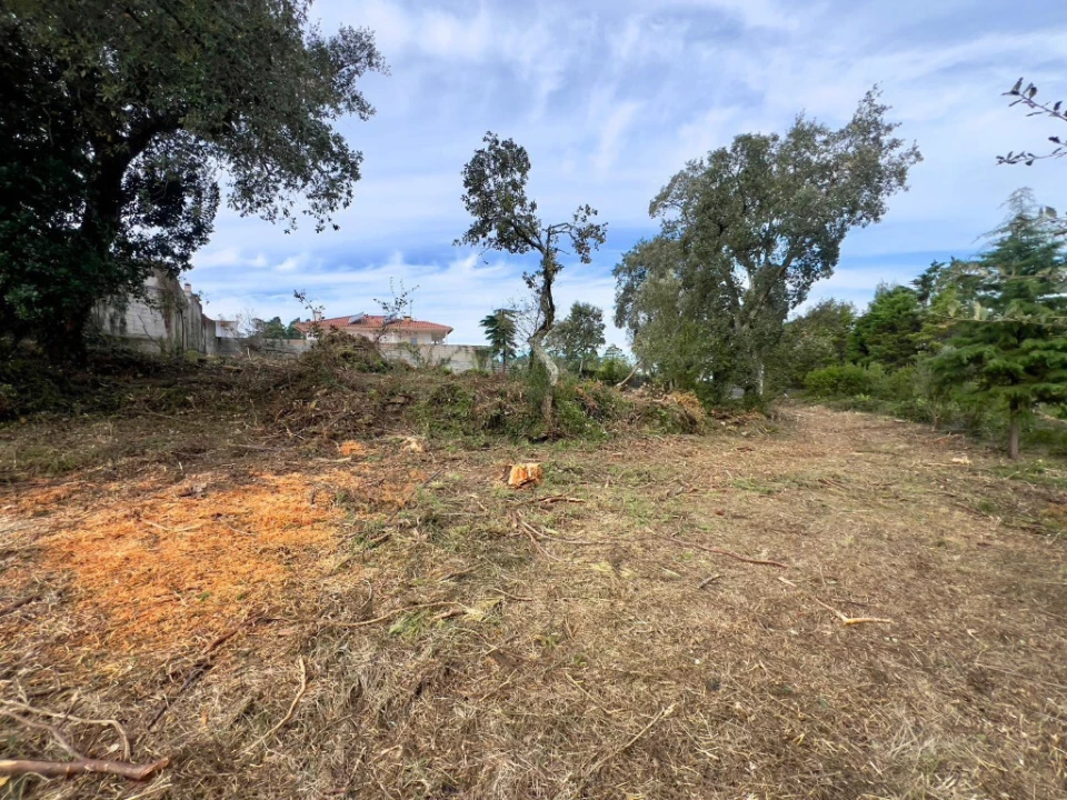 Terreno para Venda em Eiras e São Paulo de Frades Foto 4