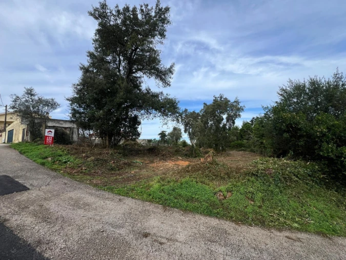 Terreno para Venda em Eiras e São Paulo de Frades Foto 5
