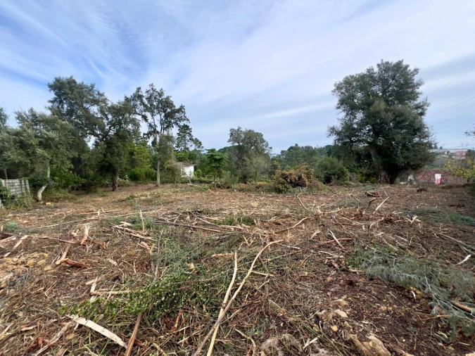 Terreno para Venda em Eiras e São Paulo de Frades Foto 3