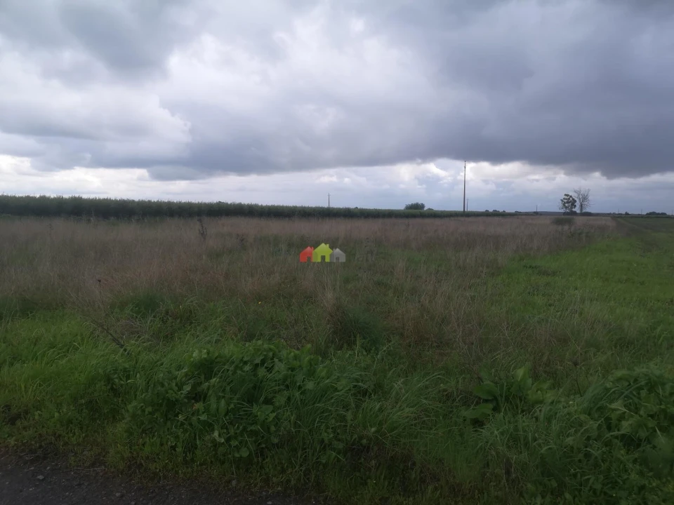 Terreno para Venda em Beja (Santiago Maior e São João Baptista) Foto 2