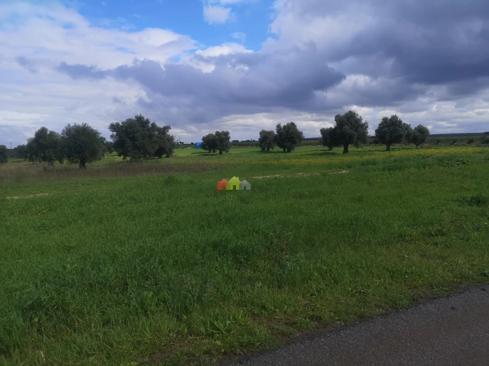 Terreno para Venda em Beja (Santiago Maior e São João Baptista) Foto 3