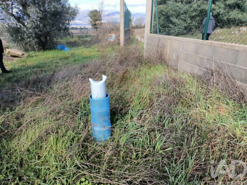 Moradia T3 para Venda em Caria Foto 25