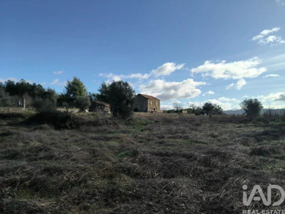 Moradia T3 para Venda em Caria Foto 16