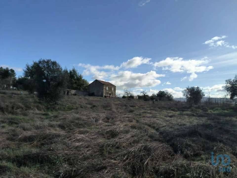 Moradia T3 para Venda em Caria Foto 15