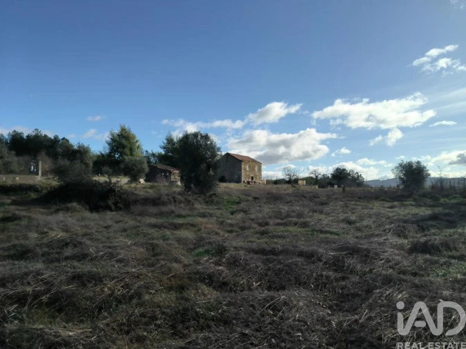 Moradia T3 para Venda em Caria Foto 16